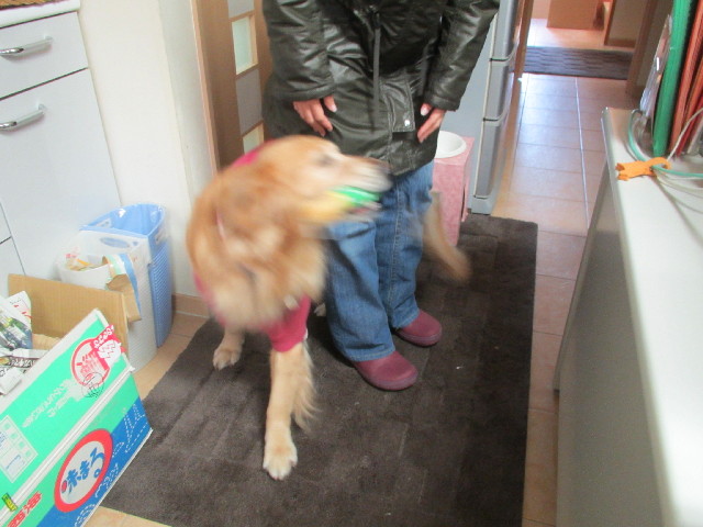 ファイル 2881-1.jpg