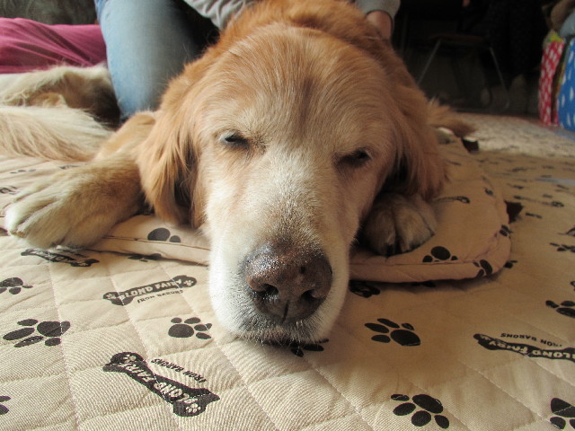 ファイル 2881-4.jpg