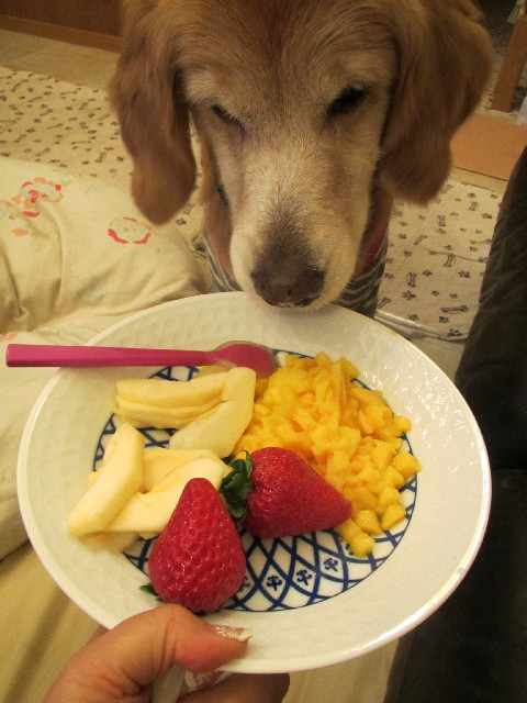 ファイル 2884-1.jpg