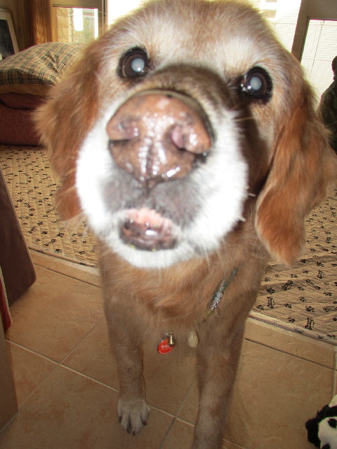 ファイル 2884-5.jpg