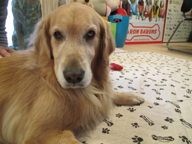 ファイル 2885-3.jpg