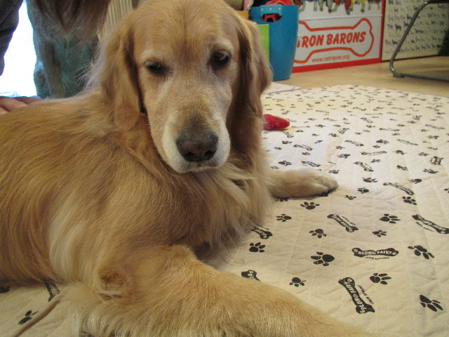 ファイル 2885-4.jpg