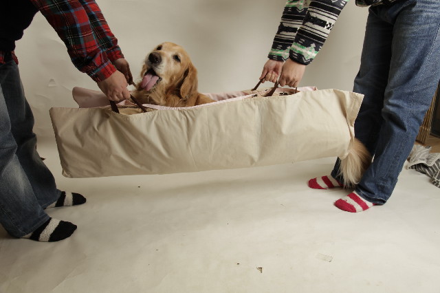 ファイル 2885-5.jpg