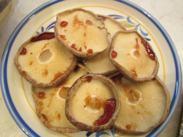 ファイル 2895-4.jpg