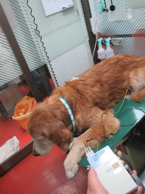 ファイル 2896-4.jpg