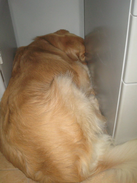 ファイル 290-1.jpg