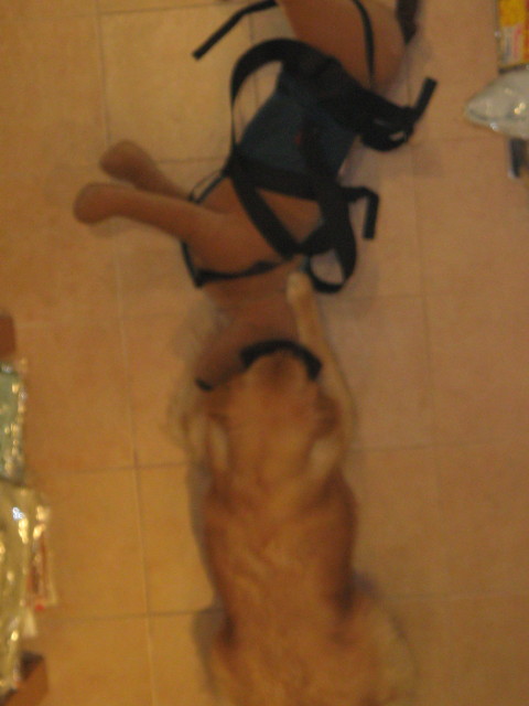 ファイル 290-5.jpg