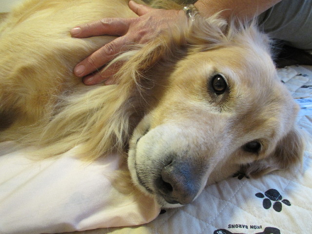 ファイル 2900-5.jpg