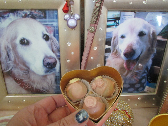 ファイル 2901-4.jpg