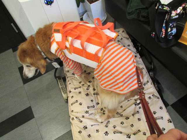 ファイル 2905-1.jpg