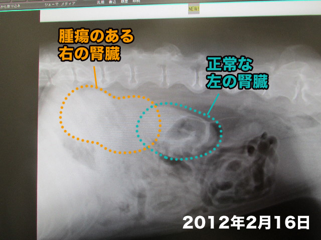 ファイル 2905-4.jpg