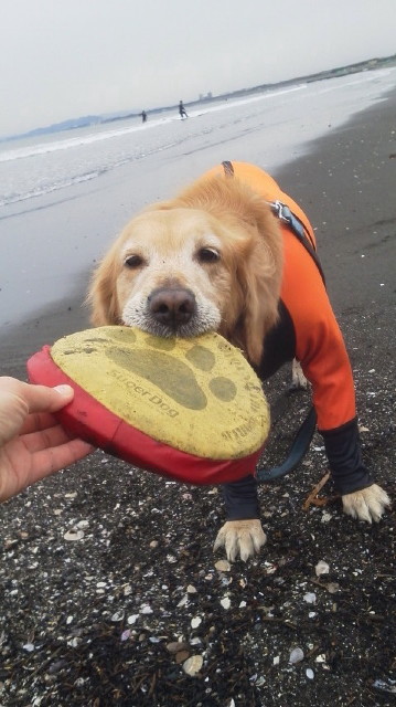 ファイル 2906-5.jpg