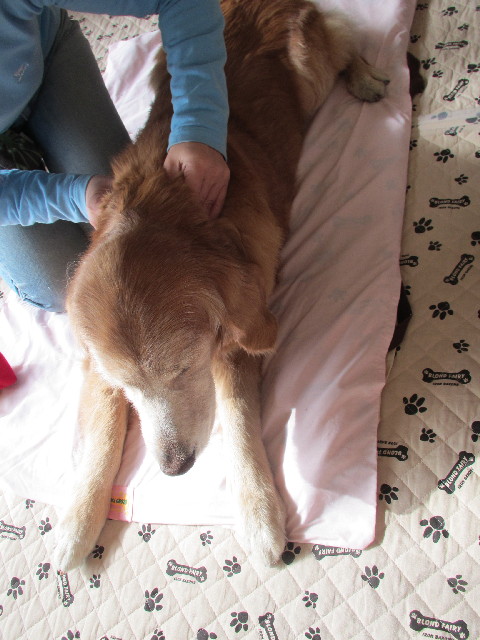 ファイル 2907-4.jpg