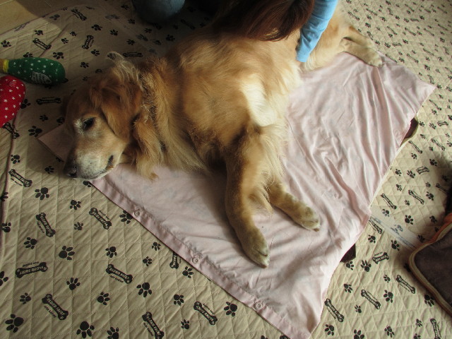 ファイル 2907-5.jpg