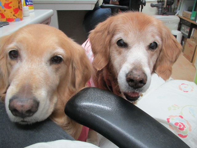 ファイル 2908-5.jpg