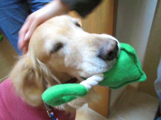 ファイル 2909-4.jpg