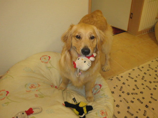 ファイル 291-2.jpg