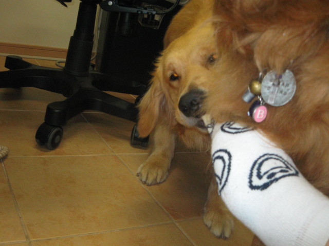 ファイル 291-3.jpg