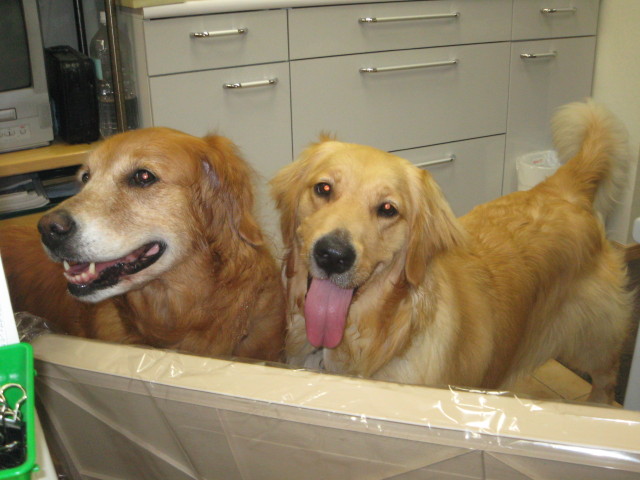 ファイル 291-5.jpg