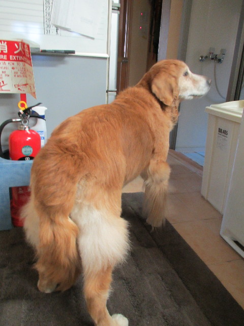 ファイル 2910-4.jpg