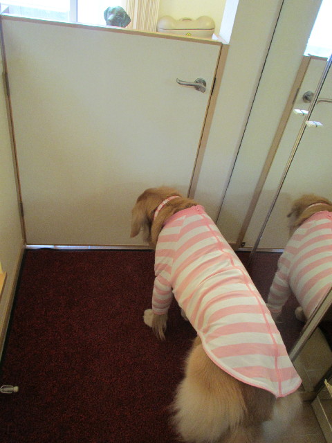 ファイル 2910-5.jpg