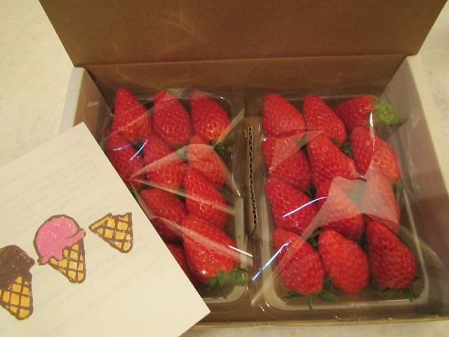 ファイル 2911-1.jpg