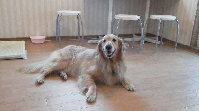 ファイル 2914-3.jpg