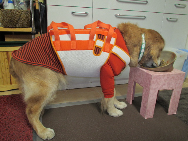 ファイル 2914-4.jpg