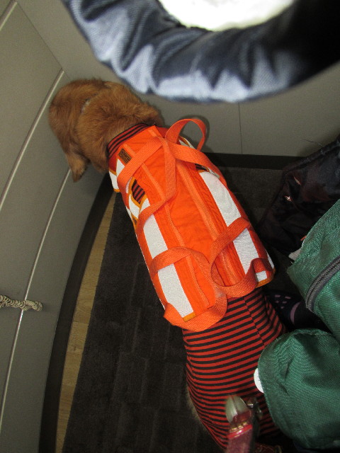 ファイル 2914-5.jpg