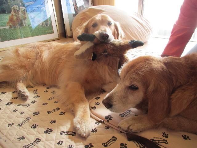 ファイル 2915-1.jpg