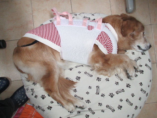 ファイル 2915-4.jpg