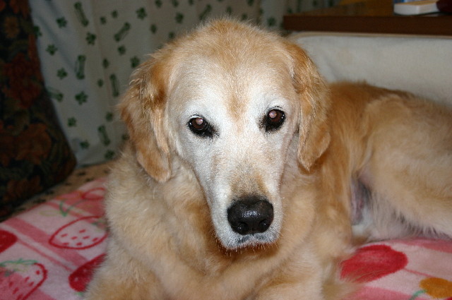 ファイル 2916-3.jpg