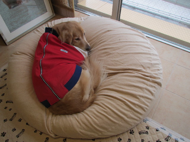 ファイル 2917-2.jpg