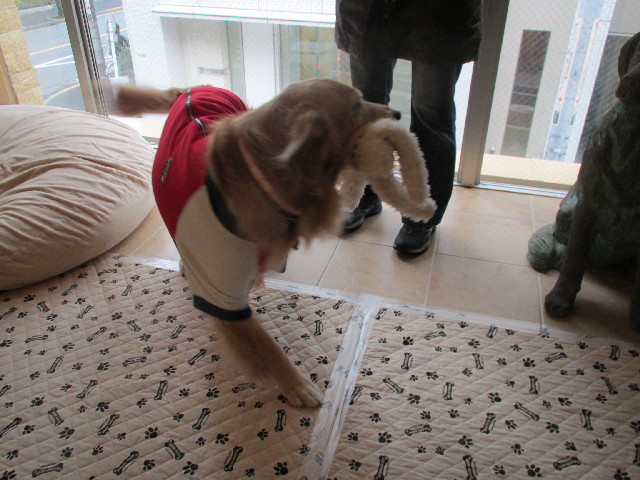 ファイル 2917-3.jpg