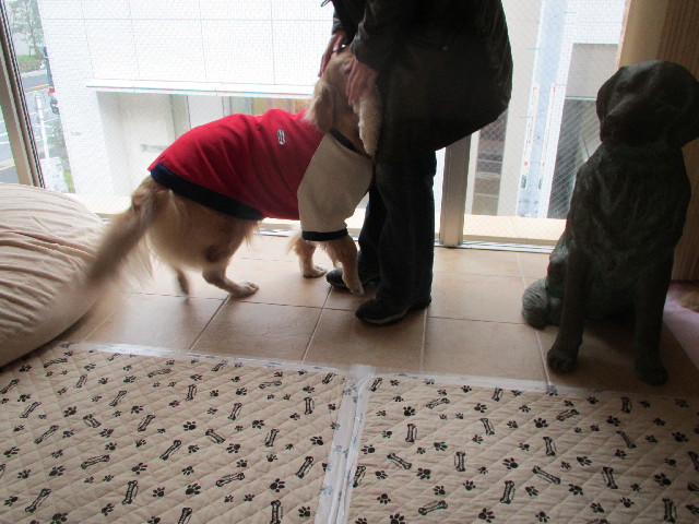 ファイル 2917-4.jpg