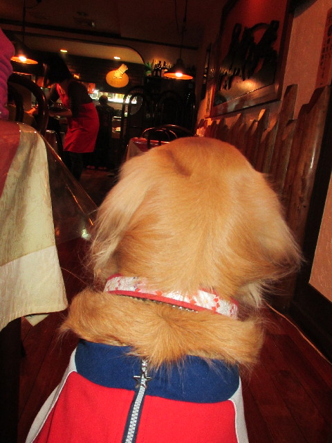 ファイル 2919-5.jpg