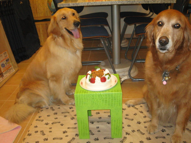 ファイル 292-2.jpg