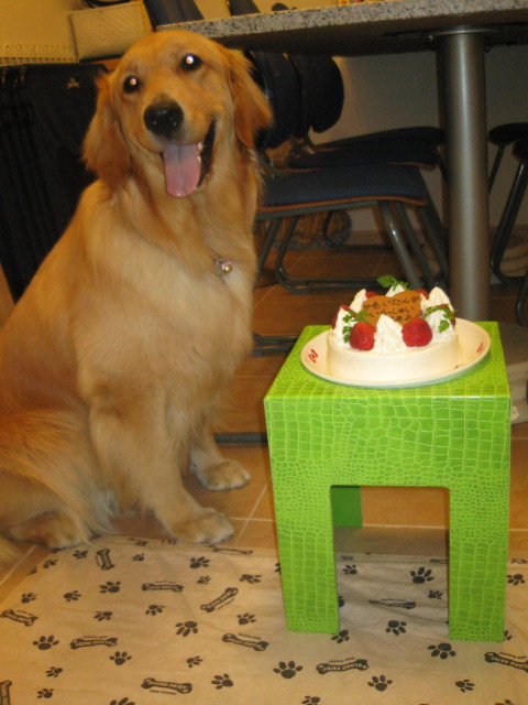 ファイル 292-3.jpg