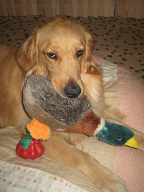 ファイル 292-4.jpg