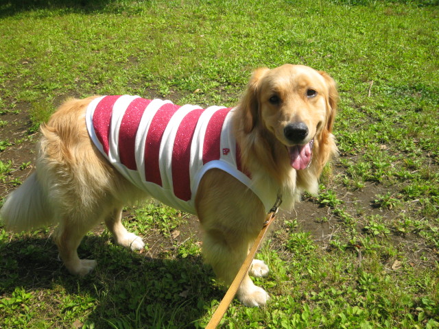 ファイル 292-5.jpg