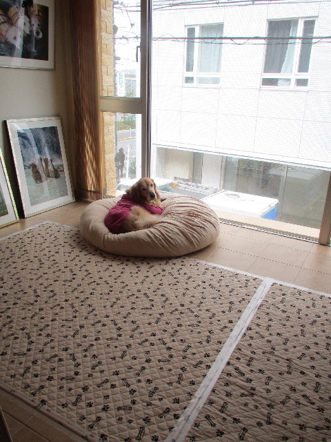 ファイル 2920-1.jpg