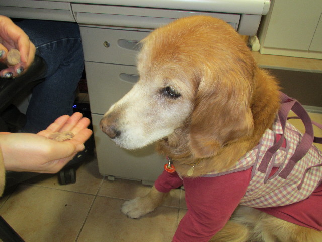 ファイル 2920-2.jpg