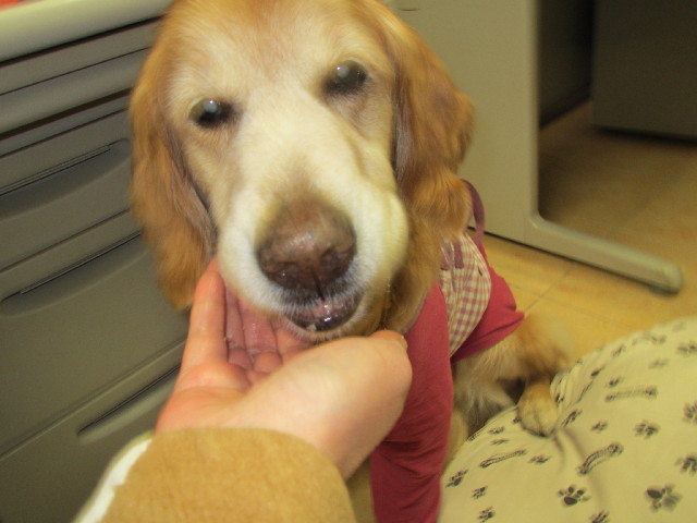 ファイル 2920-3.jpg