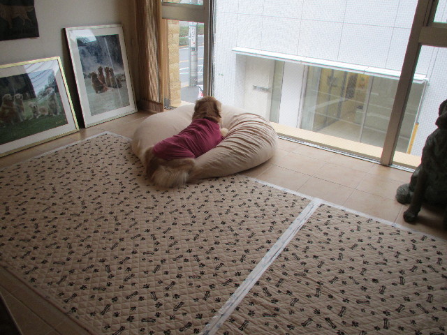 ファイル 2920-4.jpg