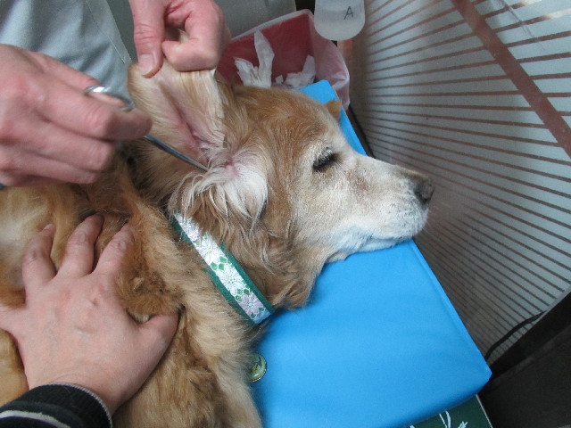 ファイル 2921-3.jpg