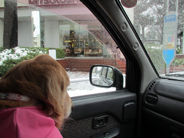 ファイル 2923-1.jpg