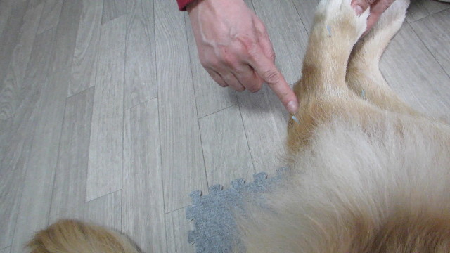 ファイル 2923-4.jpg