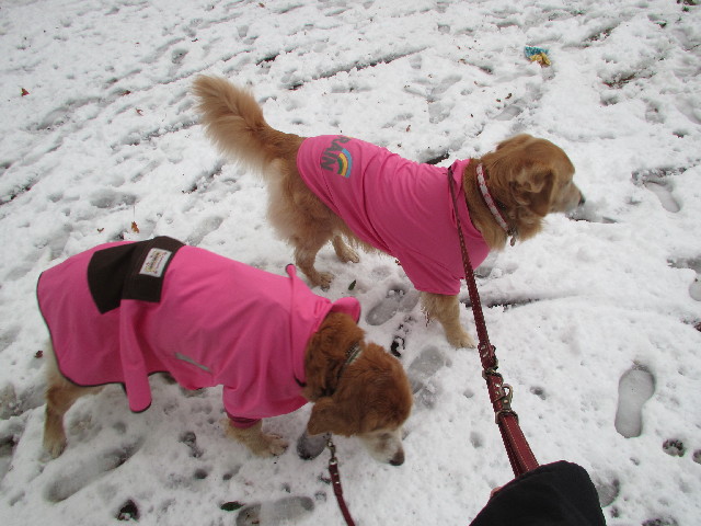 ファイル 2924-2.jpg