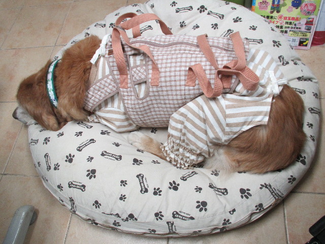 ファイル 2924-4.jpg