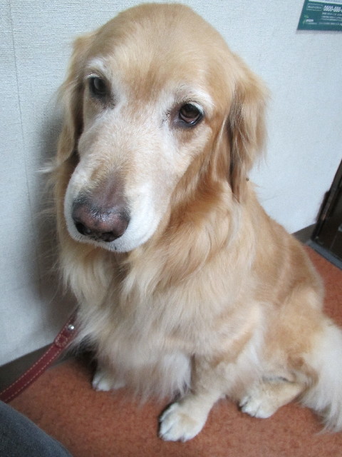 ファイル 2927-2.jpg